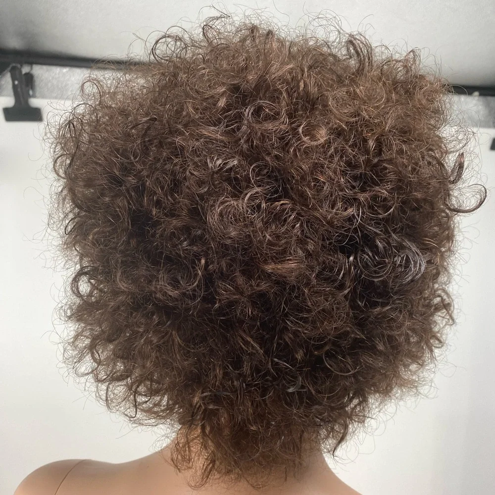 Curly Brown Human Hair Afro Wig - Picture 4 of 8